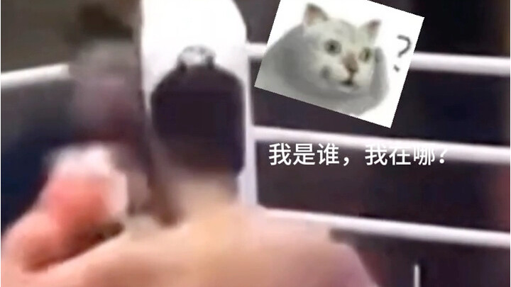 Referee: Can you open your eyes, please?