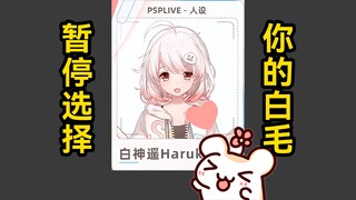仓鼠五彩斑斓的白毛女儿们！暂停选择你的天命白毛！