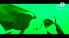 Desverse Fan Made Toothless Craft Killer Whale On Screen Time All Scene Pack DesAllosaurus