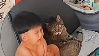 Cat: I won’t say a word before checking the surveillance camera.