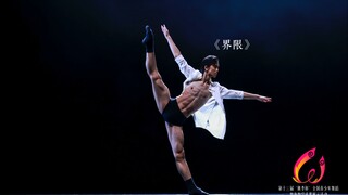 第13届桃李杯 现代剧目《界限》 表演：李航（北京舞蹈学院）