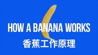 香蕉枪工作原理