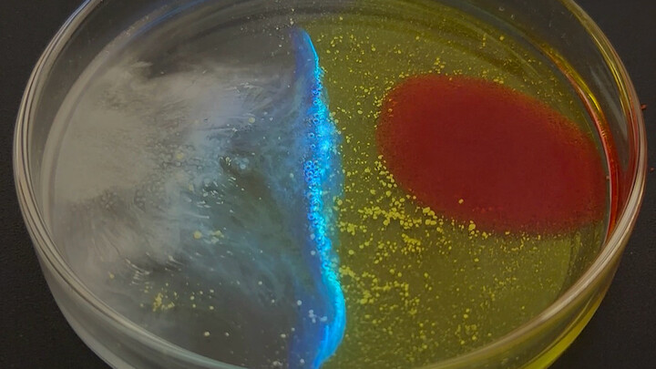 Luminol, nhờ có em mà anh mới có thể tỏa sáng
