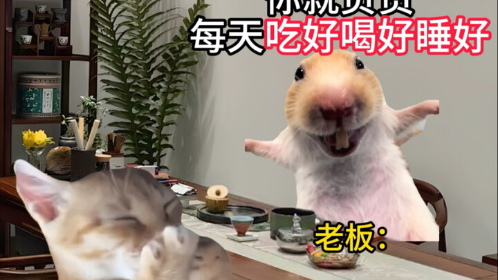 当你面试了一份好工作