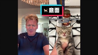 戈登拉姆齐吐槽：猫小厨意面 #YYY字译组#