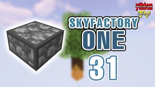 SkyFactory One 31 - Thịt Bò Vĩnh Cửu