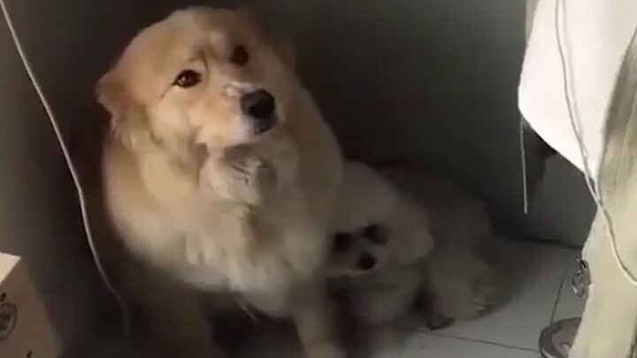 The look in your eyes when you want to “knife” someone can’t be hidden...