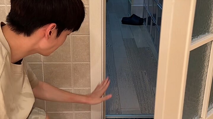 Aksi mandi bersama — Cepat mandi! #hewanlucu #anjing #pameranperilakumenggemaskan