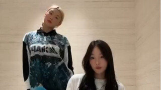 【Leejung】 BLACKPINK pink venom 副歌舞蹈
