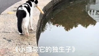 这怎么看都不像它的孩子啊，这么小就拥有环水城堡了