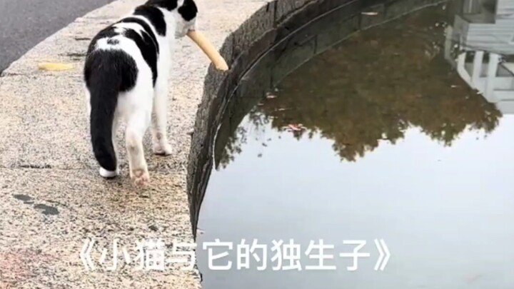 这怎么看都不像它的孩子啊，这么小就拥有环水城堡了