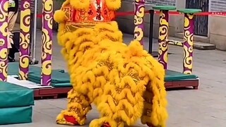 Phát huy truyền thống tốt đẹp của Trung Hoa và phát huy văn hóa múa lân! Đền tưởng niệm Hoàng Phi Hồ