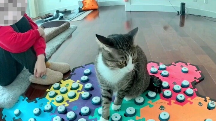 Karena aku bayi yang baik, aku pergi bermain