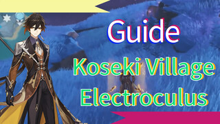 Guide - Koseki Village - Electroculus