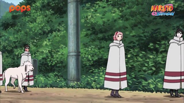 205
