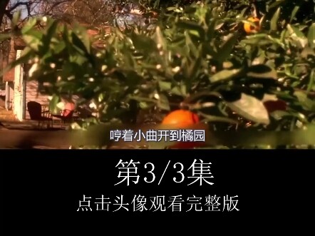 Jangan sampai teralihkan, bisa-bisa nggak ngerti karya penuh teka-teki ini 【3️⃣】