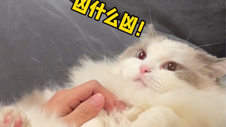 Let me show you what it’s like to trim the nails of the fiercest plushie on the entire internet!