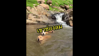 หลงหนักมากน้องน่ารักกันมาก🥰🥰