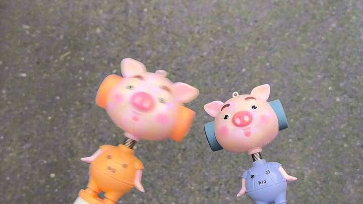 Sao hai con lợn lại cãi nhau vậy?