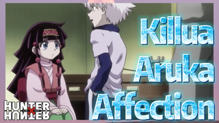 Killua Aruka Affection