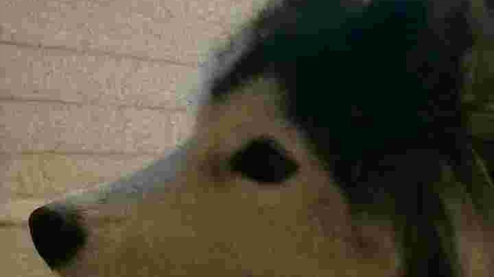 น้องเจโร่