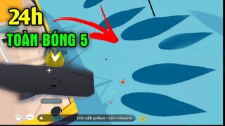 24h NHÂN PHẨM CÂU TOÀN BÓNG 5 | Địa Điểm Lý Tưởng | Play Together