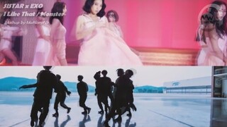 SISTAR X EXO - I Like That/Monster (MashUp)