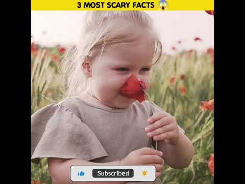 3 Most Scary Facts 😱 About Ghost |  #horrorstories #ghost #facts #hindi #viral #trending #shorts