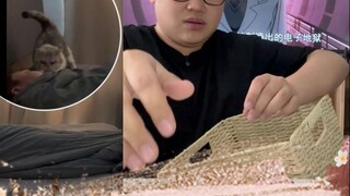 ใครจะนอนตื่นสายช่วงสุดสัปดาห์?