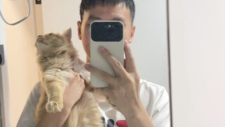 Hãy xem sự thay đổi về tốc độ sinh trưởng của ngô trong nửa năm.