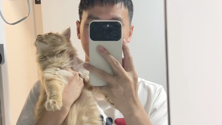 看看玉米半年的成长变化。