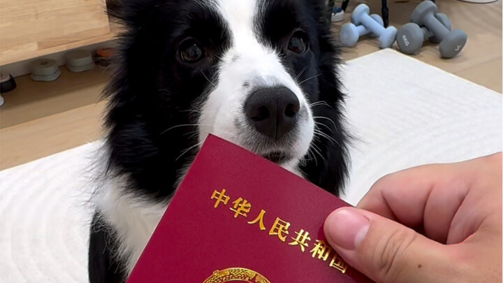 คุณลุงได้พ่อครัวคนใหม่มาแล้ว…