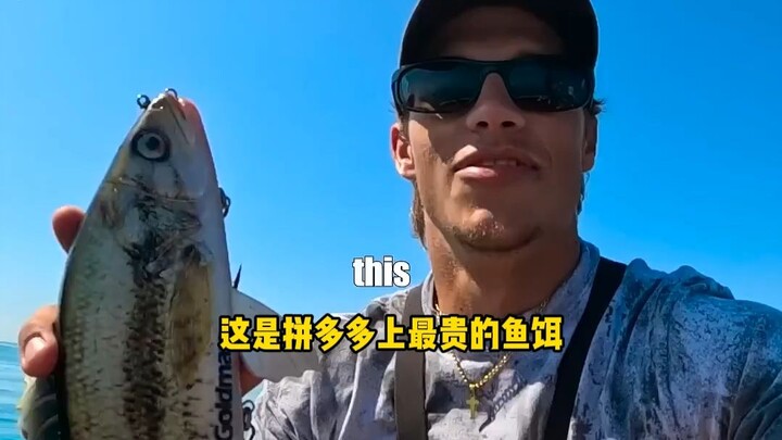 Umpan ikan ini bahkan lebih besar daripada ikan yang kamu pancing!