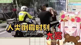 Japanese cat witch watched "Humanity's Unlucky Moments" and couldn't hold it anymore