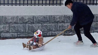 هل إنجاب الأطفال حقًا مجرد لعبة؟ الأب الذي يفتقر إلى الحس والضمير يجب أن يُلقن جده درسًا قاسيًا