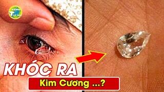 Giải Mã 6 Bí Ẩn Kinh Hoàng Lời Nguyền Của Viên Kim Cương Khiến Giới Siêu Giàu Cũng Chưa Chắc Biết