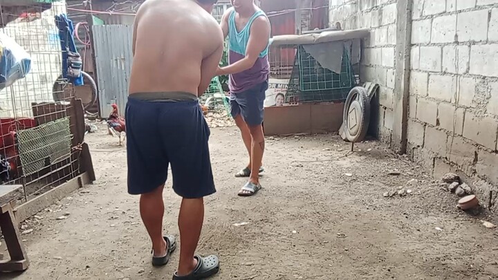 exercise muna sa mga ganador 😂🐓