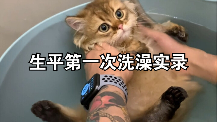 Life finally took its toll on the kitten!!!