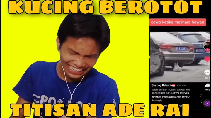 Hewan kok olahraga?? Komplikasi video lucu tiktok part 10 - react video🤣🤣