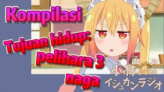 [Miss Kobayashi's Dragon Maid] Kompilasi | Tujuan hidup: pelihara 3 naga