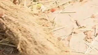 sumur merubah hidupku