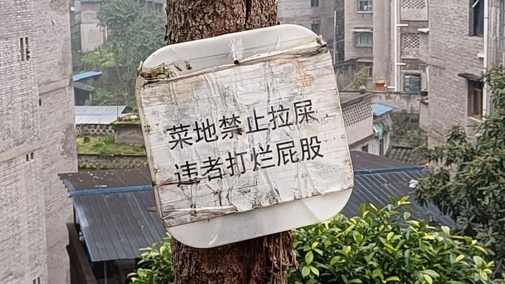 BYD doesn’t say a single unnecessary word.