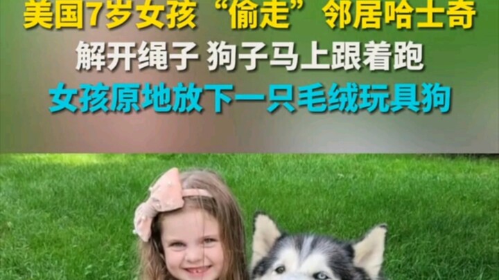 U.S. 7-year-old girl “steals” her neighbor’s husky: she unties the leash, and the dog immediately ru
