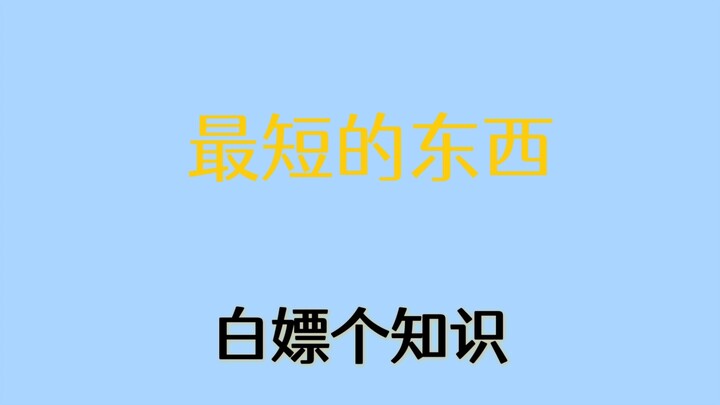 Bạn biết những thứ nào ngắn nhất thế giới?