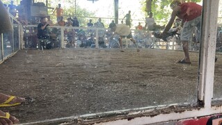 nakachamba nanaman binabae natin ng walang galos🙂