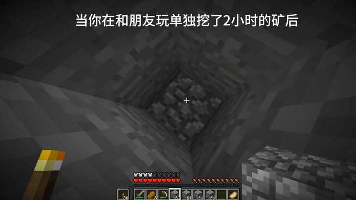 มายคราฟ: ความจริงอันโหดร้าย