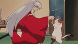 [InuYasha] Cuộc sống thoải mái của Gouzi khi chơi đùa với mèo ở nhà mẹ vợ