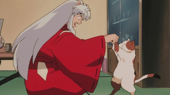 [InuYasha] Gouzi’s comfortable life of playing with cats at his mother-in-law’s house