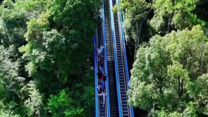 Kenapa nggak nunggu aku dulu baru muncul lagi di feedku?