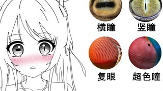 如果人类拥有动物的瞳孔会看到什么？